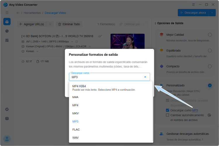 Seleccionar MP3 como formato de salida
