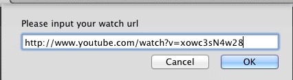add youtube video url