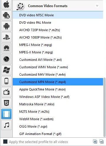 choose mp4 as the output format