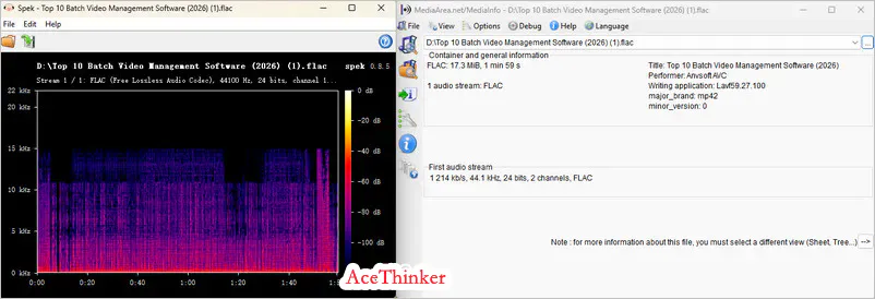 acethinker youtube to flac