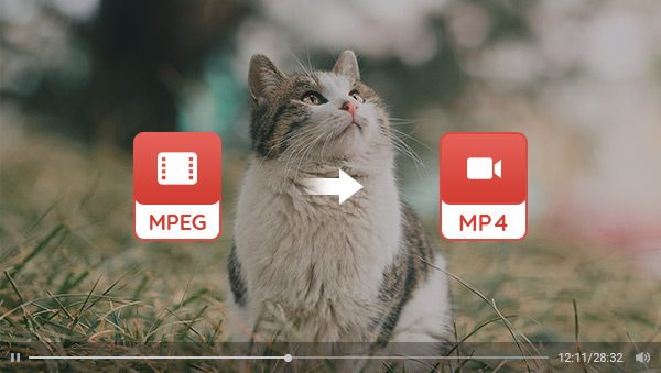 convert mpeg to mp4