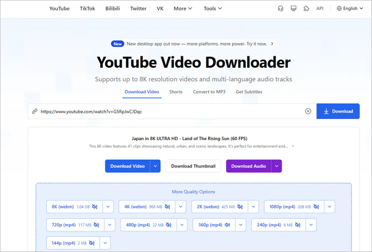 snapany video downloader site