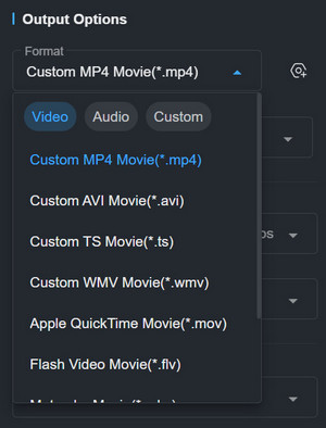 choose mp4 as the output format