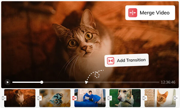 merge videos