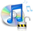 Rip DVD to iPod